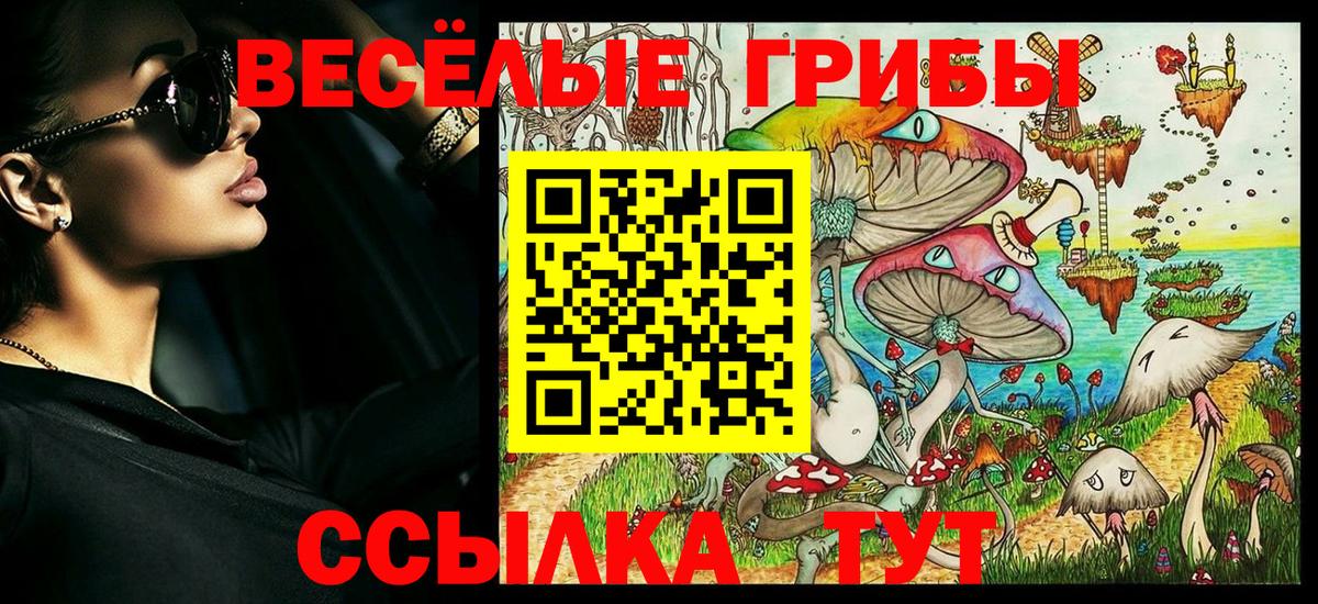 Галлюциногенные грибы Psilocybine cubensis  Галлюциногенные грибы мицелий  Иваново  Вход с VPN 